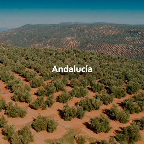 Andalucia3